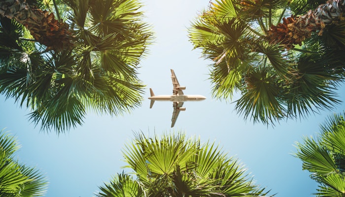 Flygplan över palmer